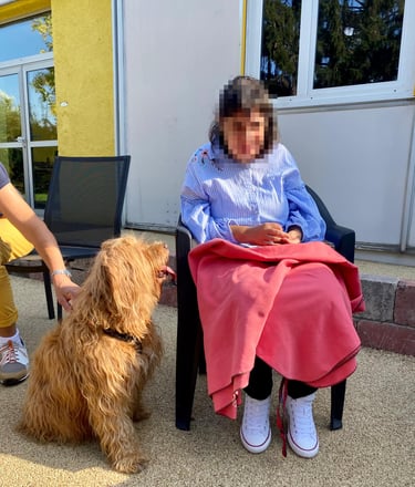 chien en médiation animale auprès d'une personne handicapée