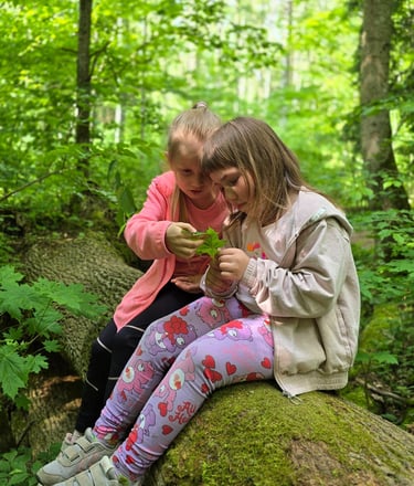 Mergaitės Buktos pažintiniame take