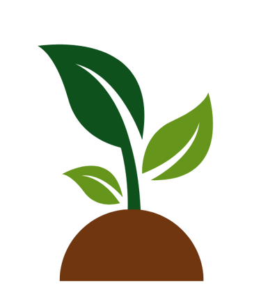 A plant growing out of hard soil showing resilience