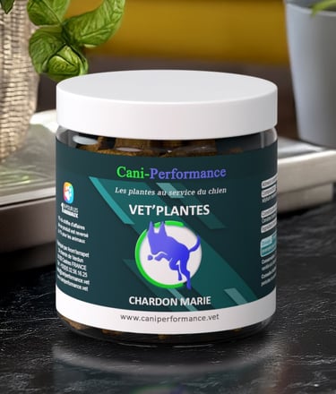 VET'PLANTES CHARDON MARIE