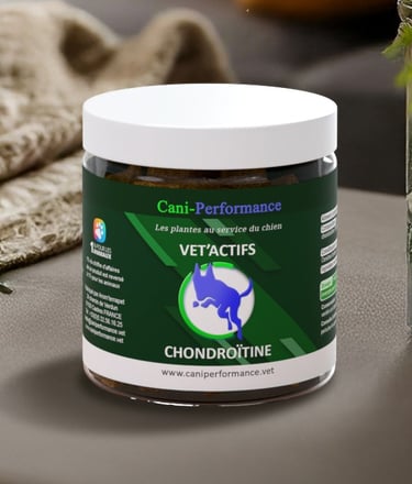 VET'ACTIFS CHONDROITINE