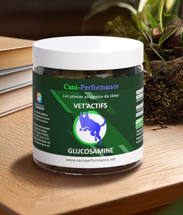 VET'ACTIFS GLUCOSAMINE