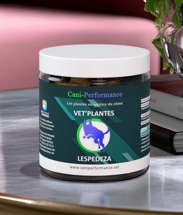 VET'PLANTES LESPEDEZA