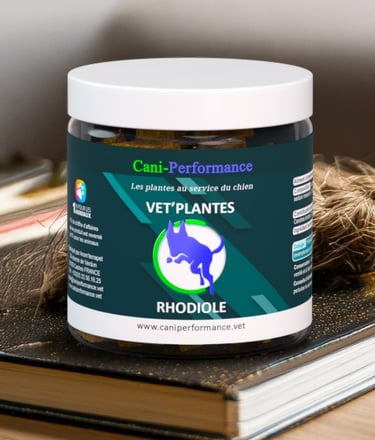 VET'PLANTES RHODIOLE