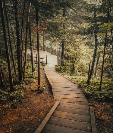 Green Earth Academy nature scene