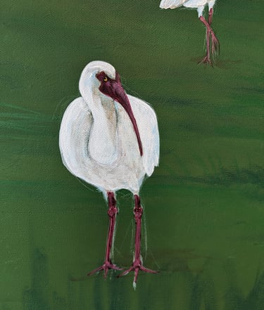 Work-in-Progress WIP acrylic painting of an ibis looking back.