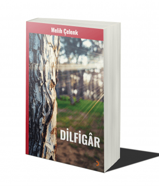 a book cover of Dilfigâr