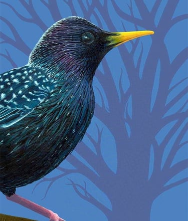 Bird portrait painting of a Starling against a contemporary-styled tree in the background