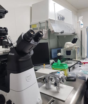 micromanipulateur et loupe binoculaire