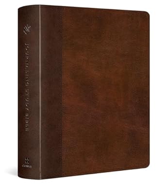 a brown leather book with a brown leather cover journaling bible