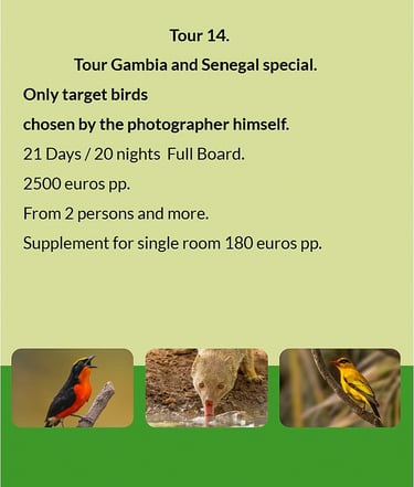 Flyer Tour 14 – 21-day special bird photography Gambia & Senegal tour, full board, price from €2500 
