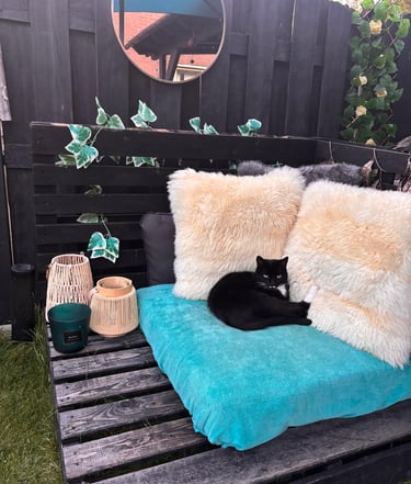 zwarte kat die buiten in de tuin op kussens ligt