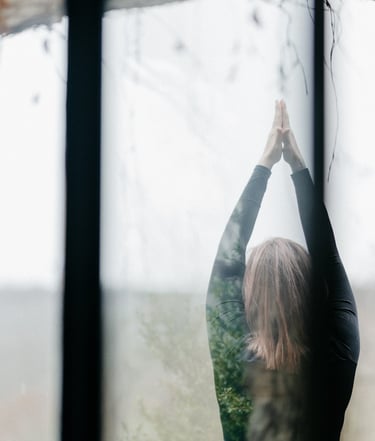présentation Dorothée Picq
