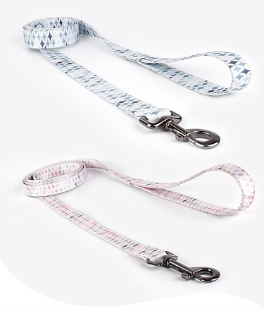 Dog Harness