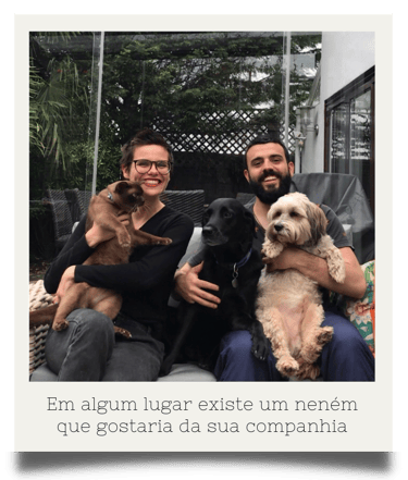 Capitu e Bentinho Por Ai - nomade digital - pet sitting 