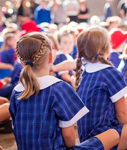 Schools have many pest problems