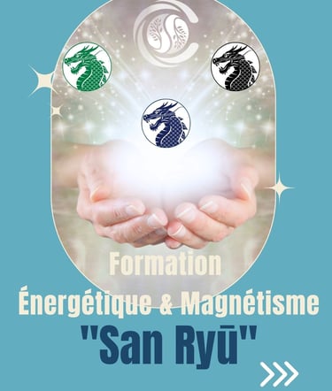 presentation formation magnetisme et energetique, nantes, programme San Ryu