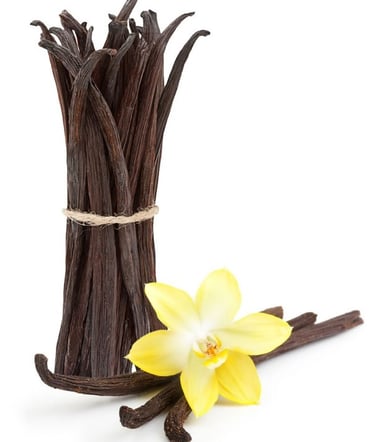 Vanilla and its flower