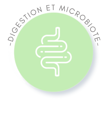 logo digestion et microbiote 