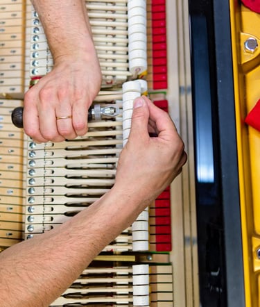 Accordeur de de pianos Lyon- finitions- Harmonisation Steinway