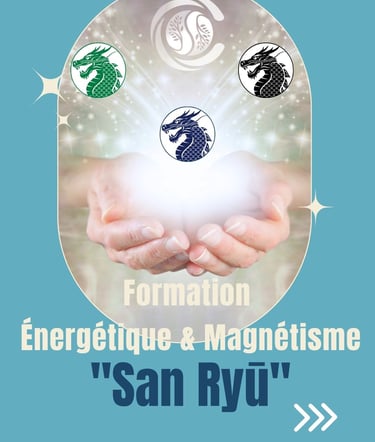 presentation formation magnetisme et energetique, nantes, programme San Ryu