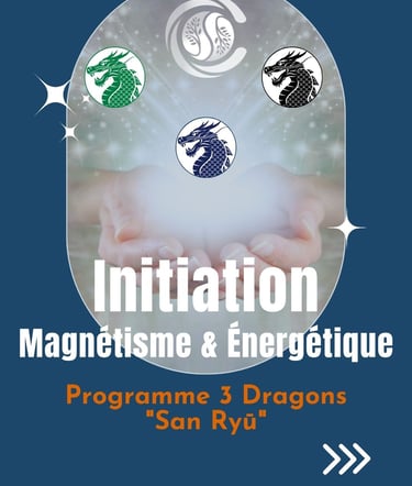 programme intitiation au magnetisme à nantes avec christophe meunier