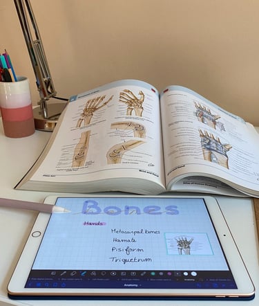 Medizin in Rumänien, Medizin rumänien preis studieren, Medizin studieren in rumänien zum deutschen