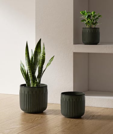 Dark olive fluted ceramic indoor plant pots with drainage holes, ideal for snake plants