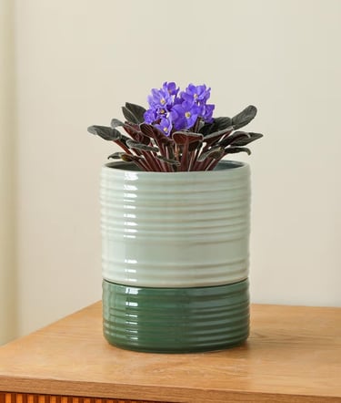 Green 6 inch ceramic self watering plant pot with wick rope system and drainage holes
