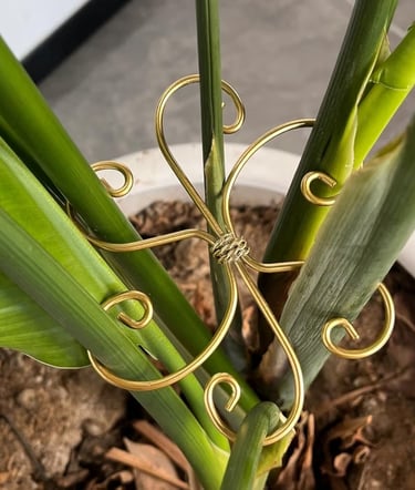 Gold iron plant stem support clips used to stabilize Monstera and other indoor climbing plants