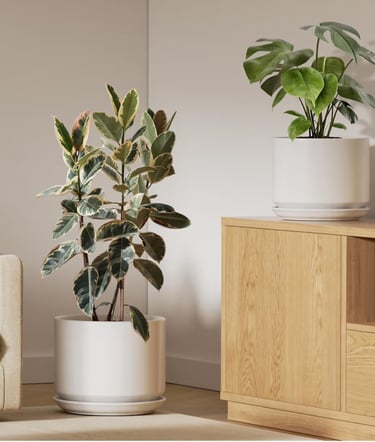 LE TAUCI white ceramic plant pots set of 2 in 10 and 12 inch sizes with drainage holes