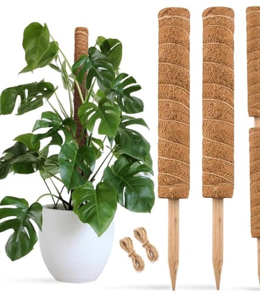 Stackable coco coir moss pole designed for supporting climbing houseplants as they grow taller.