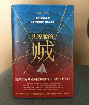 一本书 《头等舱的贼》。