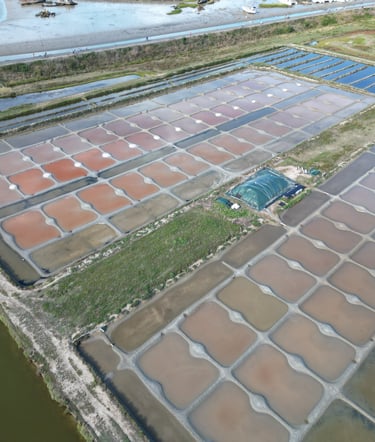 Inspection de marais salants (85)