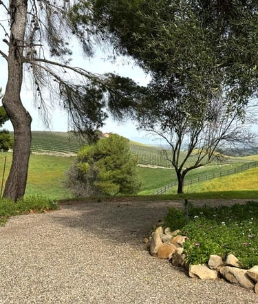 Santa Ynez Valley Wine Country Property