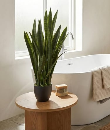 A tall potted snake plant on a wooden table next to a white bathtub in a bright bathroom.