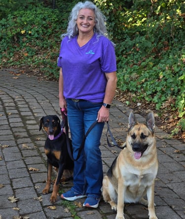sit happens here with Charissa and her dogs