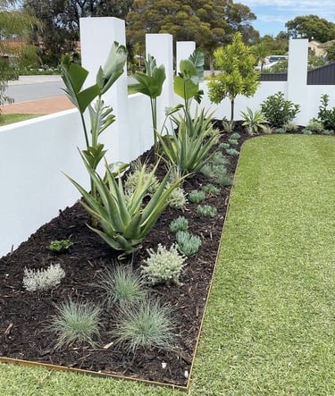 bahçe çimlendirme uygulaması yapılan yaşam alanı