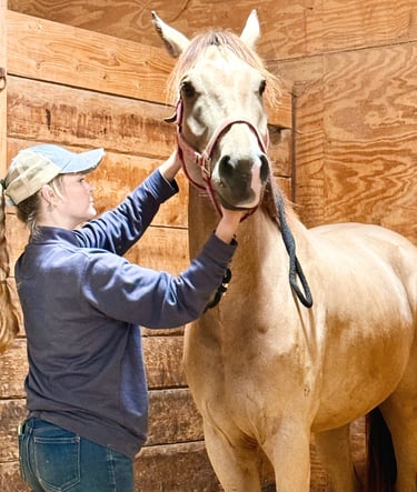 a woman is standing in a barn with a horse