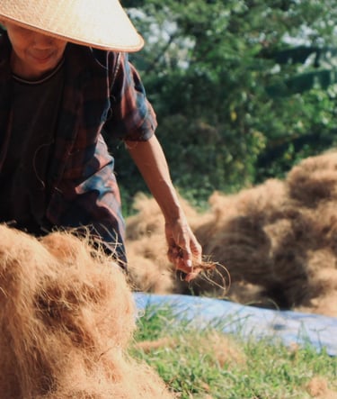 coirfiber drying process