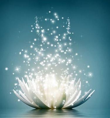 séance d'initiation