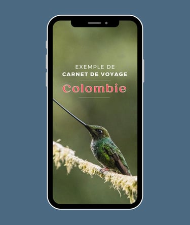 carnet de voyage colombie rayona exemple