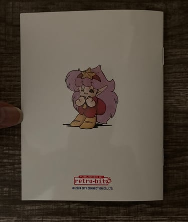 Retro-Bit NES Manual Backside