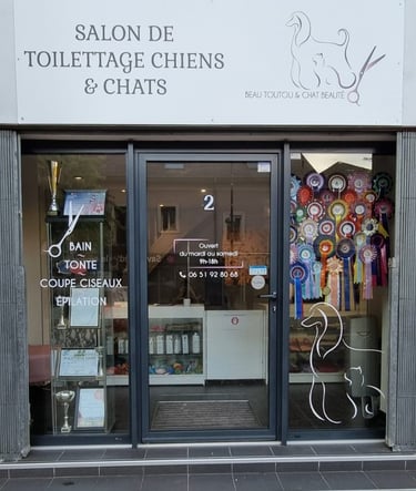 Salon de notre toiletteuse de Schnauzers