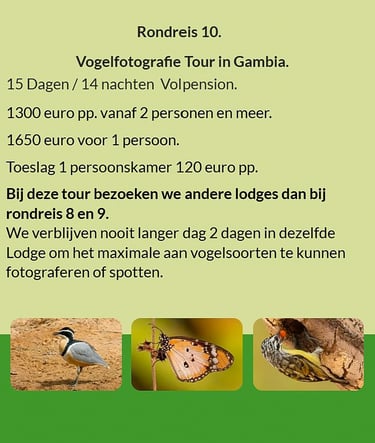 Flyer Tour 10 – 15-daagse vogelfotografie Gambia rondreis, full board, prijs vanaf €1300 p.p. Verbli