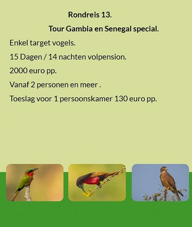 Flyer Tour 13 – 15-daagse speciale vogelfotografie Gambia & Senegal rondreis, full board, prijs vana
