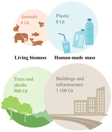 Infographic on the mass of what humans produce compared to biomass