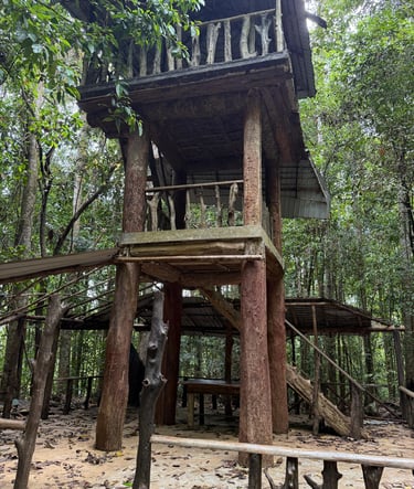 Kanneliya Rain Forest Reserve View Point