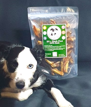Jessdog laying on a couch with a bag of Jessdog Duck Feet Natural Dog Treats