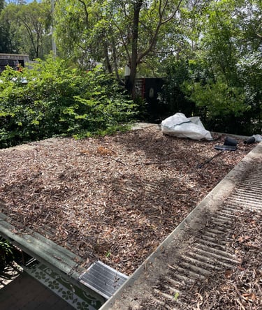Gutter Cleaning Brisbane